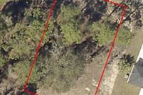 Undeveloped Land for sale in Marion County, Florida