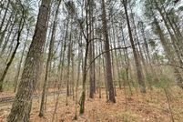 Farm and Ranch for sale in Smith County, Mississippi