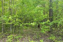 Undeveloped Land in Osceola County, Michigan
