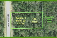 Undeveloped Land for sale in Walker County, Texas