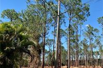 Undeveloped Land for sale in Lee County, Florida
