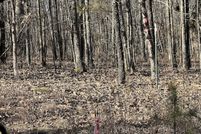 Undeveloped Land for sale in Oregon County, Missouri