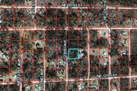 Land for sale in Levy County, Florida