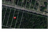 Land for sale in Osceola County, Florida