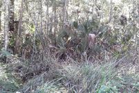 Land for sale in Marion County, Florida