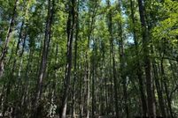 Farm and Ranch for sale in Van Zandt County, Texas