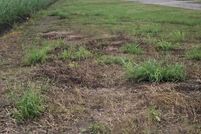 Farm and Ranch for sale in Saint Martin Parish, Louisiana