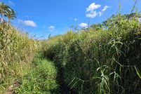 Farm and Ranch for sale in Hawaii County, Hawaii