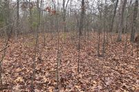 Undeveloped Land in Sequatchie County, Tennessee