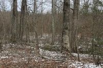 Land for sale in Scott County, Tennessee