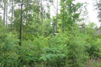 Land for sale in Pearl River County, Mississippi
