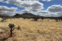 Farm and Ranch for sale in Santa Cruz County, Arizona
