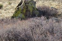 Undeveloped Land for sale in Larimer County, Colorado