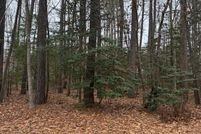 Undeveloped Land for sale in Accomack County, Virginia