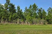 Land for sale in Gulf County, Florida