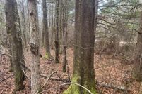 Undeveloped Land for sale in Lauderdale County, Mississippi