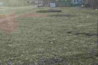 Land for sale in Vigo County, Indiana