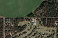 Undeveloped Land for sale in Levy County, Florida
