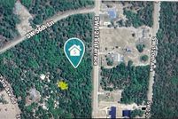 Undeveloped Land for sale in Marion County, Florida