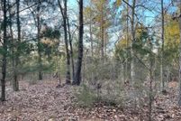 Land for sale in Newberry County, South Carolina