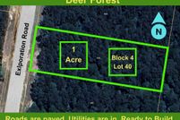 Undeveloped Land for sale in Walker County, Texas