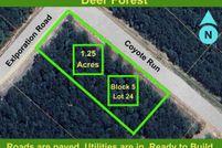 Undeveloped Land for sale in Walker County, Texas