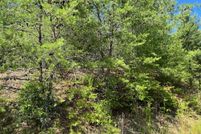 Undeveloped Land in Clay County, North Carolina