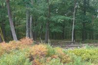 Undeveloped Land in Luzerne County, Pennsylvania