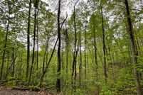 Undeveloped Land in Clay County, North Carolina
