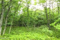 Undeveloped Land in Luzerne County, Pennsylvania