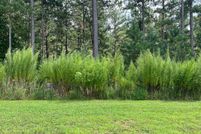 Undeveloped Land in Union County, Georgia
