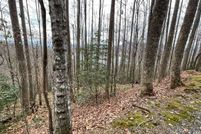 Land for sale in Towns County, Georgia