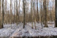 Undeveloped Land in Luzerne County, Pennsylvania