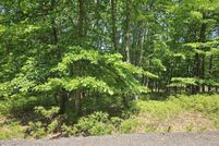 Undeveloped Land in Schuylkill County, Pennsylvania
