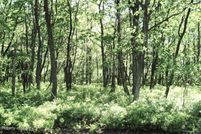 Undeveloped Land in Luzerne County, Pennsylvania