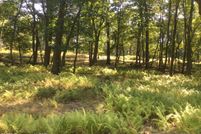 Undeveloped Land in Schuylkill County, Pennsylvania