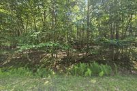 Undeveloped Land in Schuylkill County, Pennsylvania