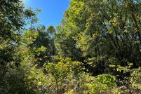 Undeveloped Land in Kaufman County, Texas