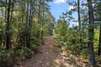 Land for sale in Cass County, Texas