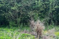 Timberland Property for sale in Rockingham County, North Carolina
