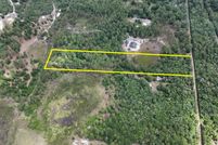 Undeveloped Land in Clay County, Florida