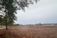 Undeveloped Land in Dillon County, South Carolina