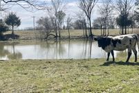 Undeveloped Land in Leon County, Texas