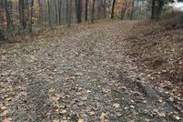 Undeveloped Land in Macon County, Tennessee