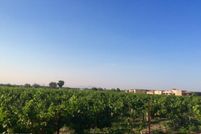 Land in Dona Ana County, New Mexico