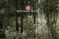Undeveloped Land in Liberty County, Texas