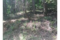 Land for sale in Buncombe County, North Carolina