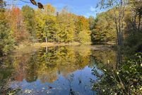 Undeveloped Land in Mecosta County, Michigan