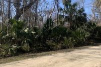 Timberland Property for sale in Taylor County, Florida