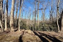 Undeveloped Land for sale in Patrick County, Virginia